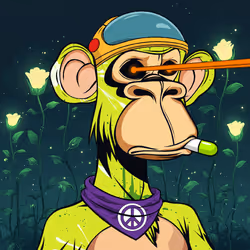 HIPPIE APES DELUXE #1175