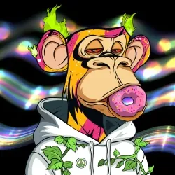 HIPPIE APES DELUXE #2852