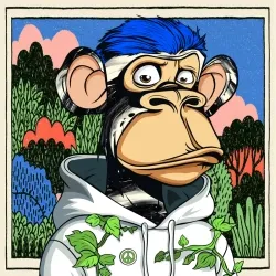 HIPPIE APES DELUXE #1758