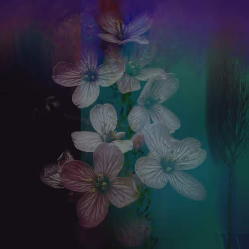 Inferior Afflictions