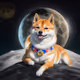 AI Shib