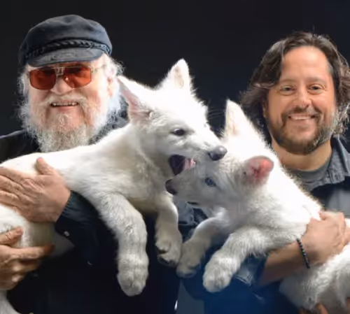 Dire Wolves