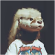 37