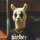 40