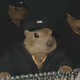 hb3