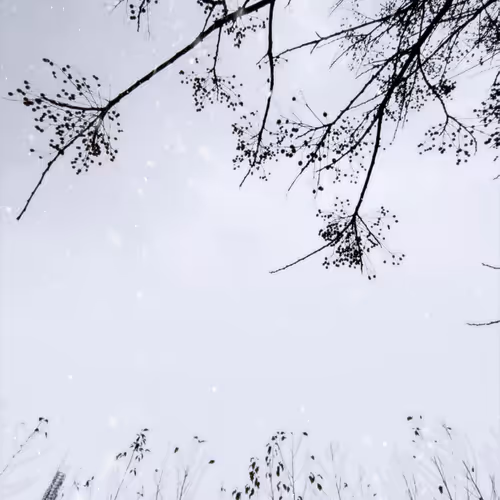 Nature S Canvas 7