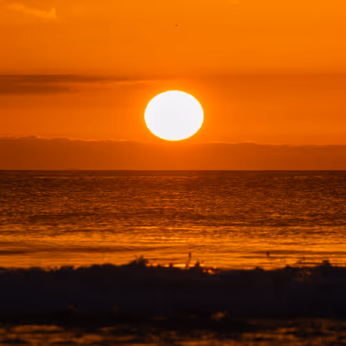 Golden Moment 3