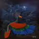 skyebsurreal symbolic