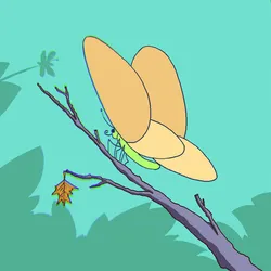 16
