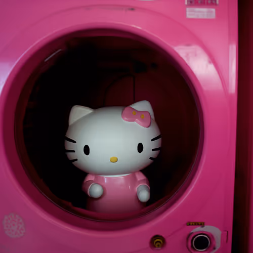 I Have No Mouth, and I Must Scream