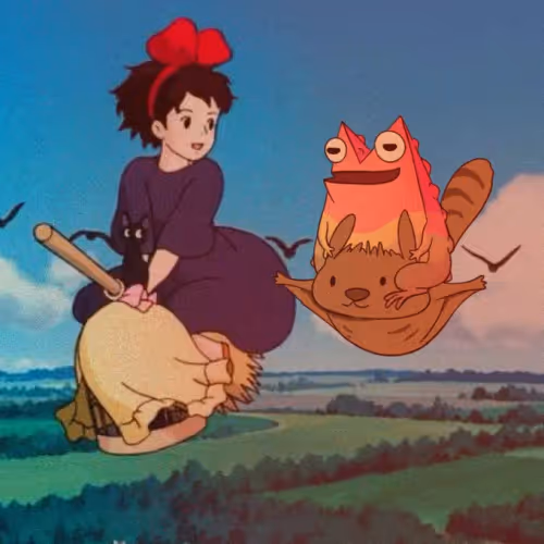 The Witch And The Frog