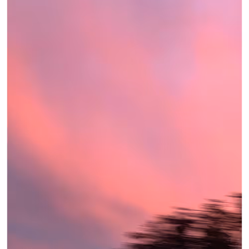 Sunset 1229