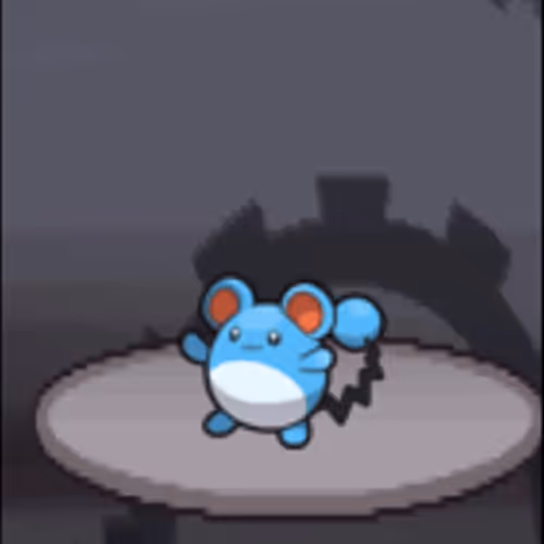 Poke Tournament #3323