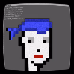 404
