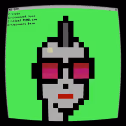 MS-DOS Punks #259