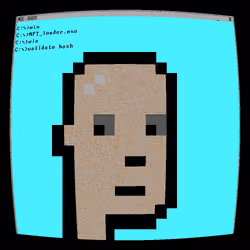 1129