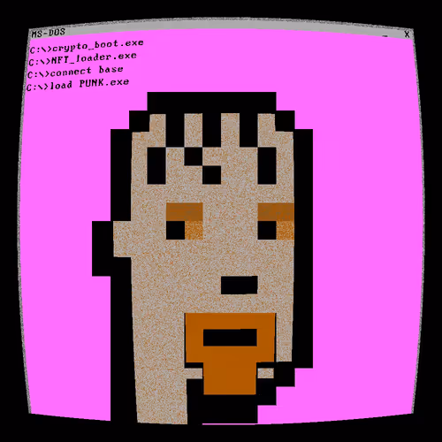 Ms Dos Punks