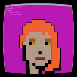 MS-DOS Punks #3239