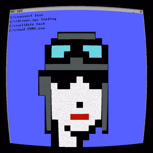 MS-DOS Punks #5578