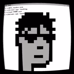 4955