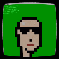 MS-DOS Punks #527