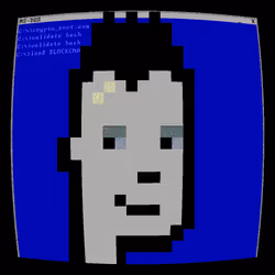 2116
