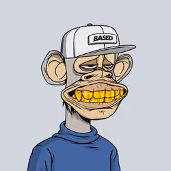 1234