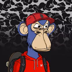 2046
