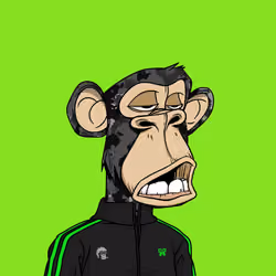 2056