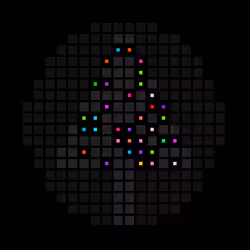 691