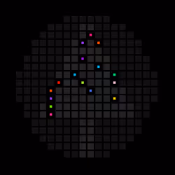 2428