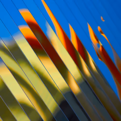 Zachlipp Shape And Color