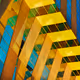 Zach Lipp - Shape & Color (2025)