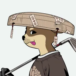 3638