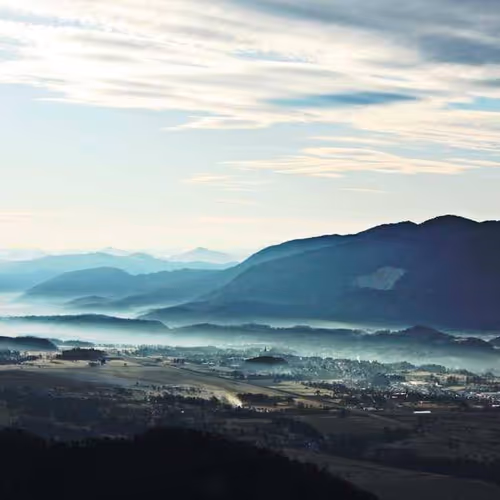 摸鱼协会 VIP - Member