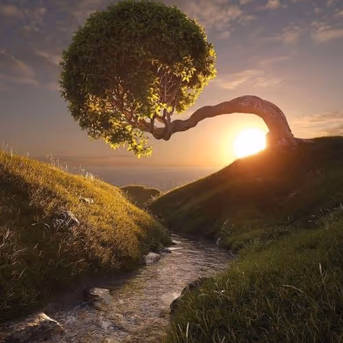Nature