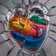 A human heart made of glass