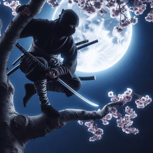 Ninja 217