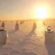2563