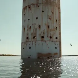 24501