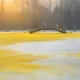 8076