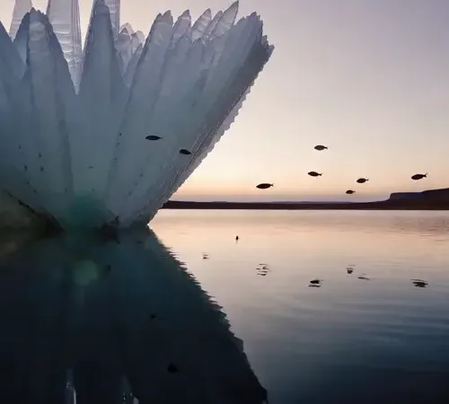 Dxrg Singularity