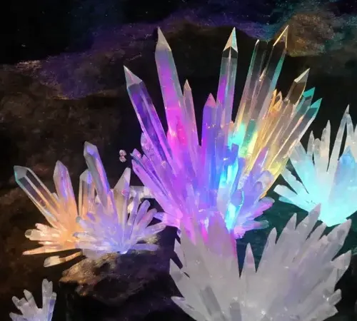 Dxrg Singularity