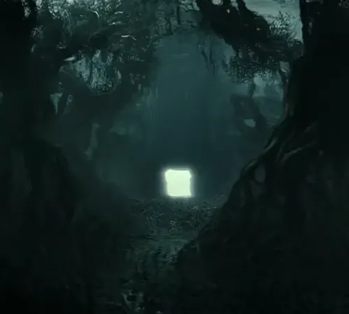 Dxrg Singularity