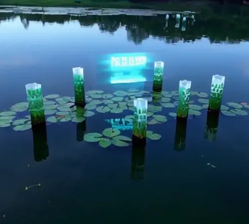 Dxrg Singularity