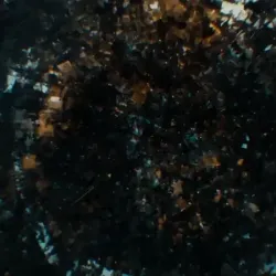DX01: SINGULARITY 34048
