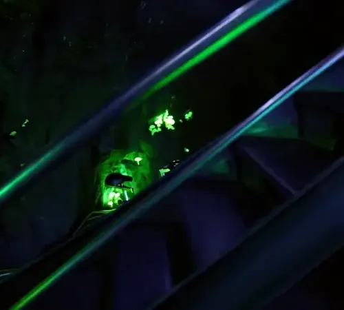 Dxrg Singularity