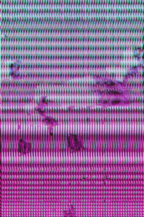 Item #3 Media