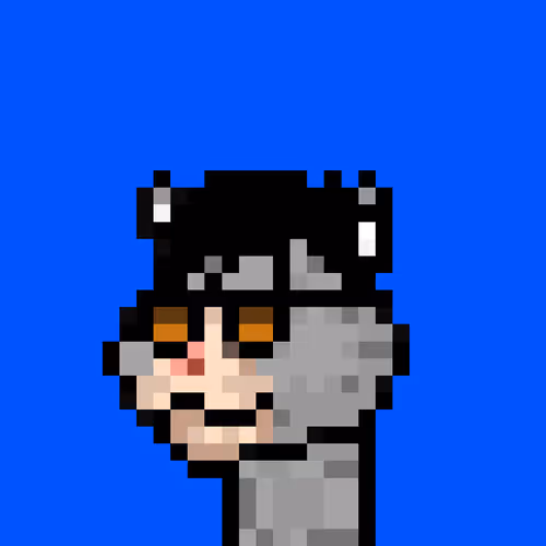 Puncats