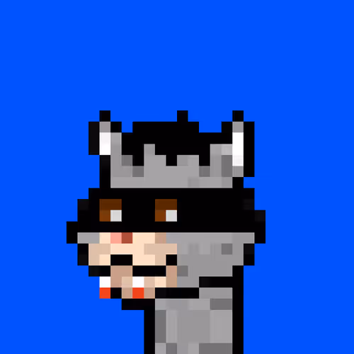 Puncats